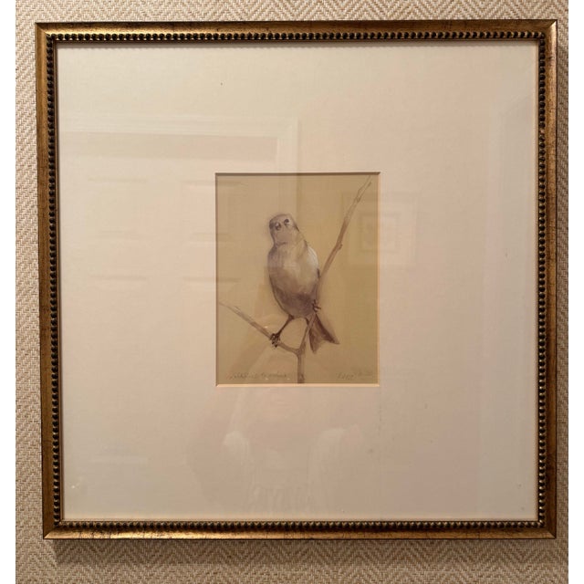 English The Natural Light Gold Framed Bird Portrait Wall Art Pair For Sale - Image 3 of 12