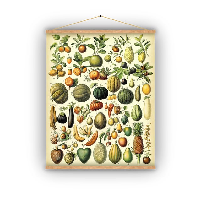 Antique 'Fruit' Wall Hanging For Sale - Image 9 of 9