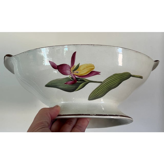 English Antique Early 19th Century English George III Creamware Botanical Compote Bowl For Sale - Image 3 of 10