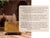 Wood Arcana Mother-of-Pearl & Brass Nine Drawer Dresser by House of Jaipur For Sale - Image 7 of 7