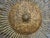 Mid 20th Century Spanish Midcentury Gilt Metal Sunburst Chandelier with Wavy Rays For Sale - Image 4 of 12