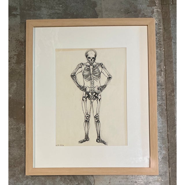 Vintage Framed Skeleton Study on Paper For Sale In West Palm - Image 6 of 12
