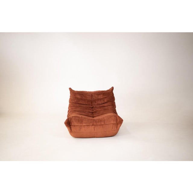 Brown Togo Corner Chair in Brown Corduroy T by Michel Ducaroy for Ligne Roset, 1970 For Sale - Image 8 of 8