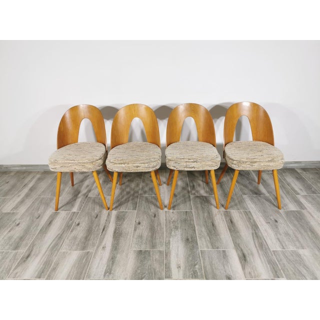 Dining Chairs by Antonin Suman, 1960s, Set of 4 For Sale - Image 12 of 18