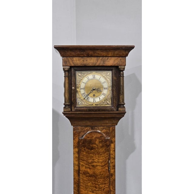Super Queen Anne style burr walnut grandaughter clock, removeable hood, brass and silvered dial, single weight eight day...