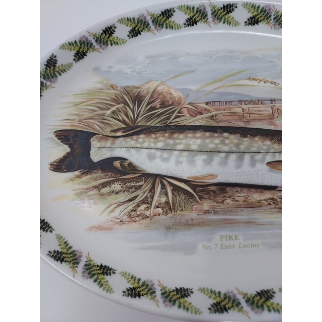 Late 20th Century Late 20th Century Portmeirion Pottery Oval Platter Compleat Angler Series "Pike No. 7 Esox Lucius" Stoke on Trent England For Sale - Image 5 of 6
