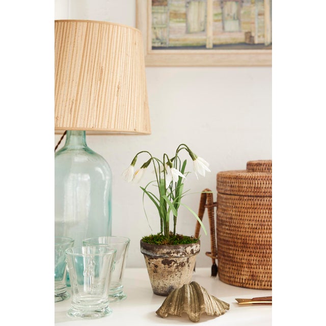 Boho Chic Potted Paper Snowdrops For Sale - Image 3 of 3