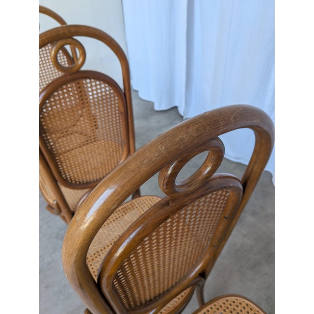 Mid-Century Modern Bentwood Cane Dining Chairs, 1970s, Set of 4 For Sale - Image 6 of 18