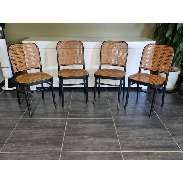 Vintage Model 811 Chairs by Joseph Hoffmann, 1990, Set of 4 For Sale - Image 6 of 13