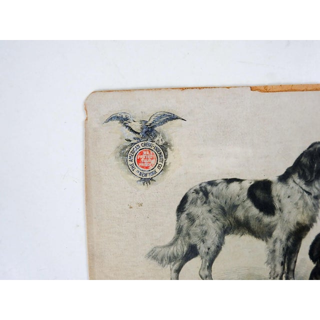 American Antique Dog Advertising Card For Sale - Image 3 of 4