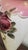 Circa 1900 Victorian Rococo Revival Pink Rose Porcelain & Spelter Mantel Ewer For Sale - Image 15 of 18