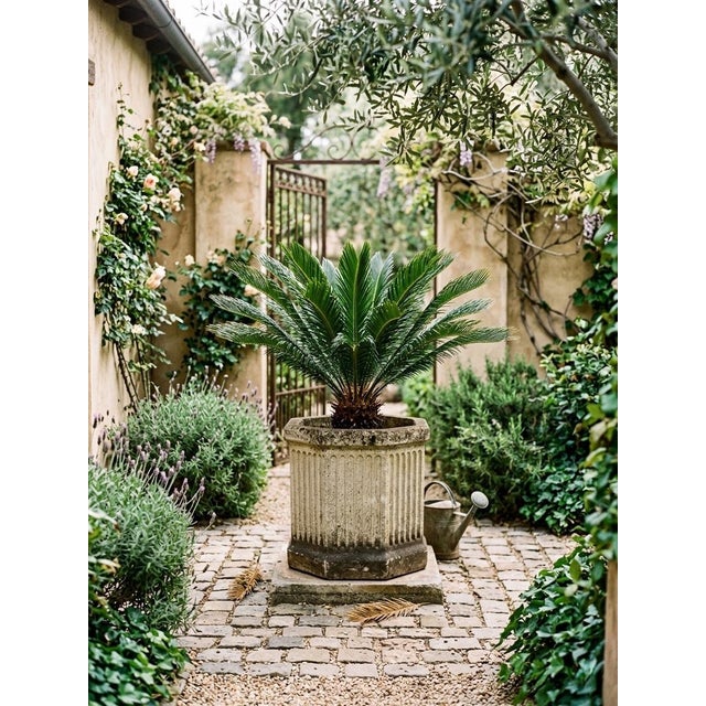 Greige Vintage Neoclassical Octagonal Fluted Cast Stone Planter For Sale - Image 8 of 10