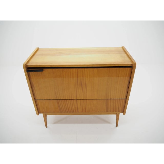 Mid-Century Storage Cabinet, Czechoslovakia, 1960s For Sale - Image 10 of 12