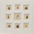 Nautical Antique Coastal Seashell Set of 9 | Custom Framed Collection | by Donovan, Circa 1804 For Sale - Image 3 of 5