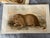 Rustic Antique Lithograph Animal Prints Set of 5 For Sale - Image 3 of 12