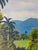 1970s Vintage Caribbean Coastal Landscape Oil Painting, Signed For Sale - Image 5 of 8