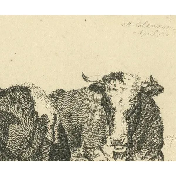 Anthony Oberman, Pastoral Scene with Two Resting Cows, 1810, Print For Sale - Image 3 of 8