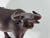 Mid-Century Modern Mid Century Large Hand Carved Water Buffalo For Sale - Image 3 of 8