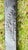 Late 19th Century Bradley & Hubbard Mfg. Cannonball Andirons For Sale - Image 5 of 7
