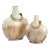 Splendour Vases - Set of 2 For Sale