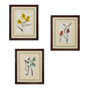 Botanical Watercolors by Edith Farrington Johnston, Set of Three
