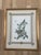 Illustration 1980s Mark Catesby Hand-Colored Engraving Prints Set of 4 For Sale - Image 3 of 13