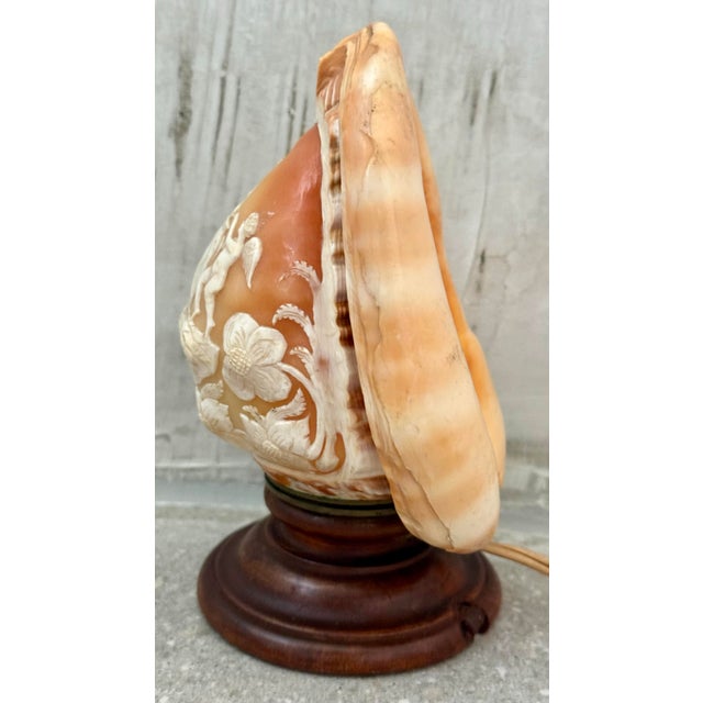 Antique Italian Cameo Relief Hand-Carved Sea Conch Shell, Nautical Coastal Decor For Sale In San Antonio - Image 6 of 12