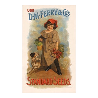 Vintage d.m. Ferry & Co. “Standard Seeds” Advertising Print – Colonial Garden Americana Wall Art For Sale