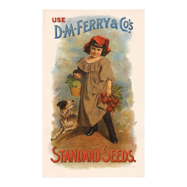 Vintage d.m. Ferry & Co. “Standard Seeds” Advertising Print – Colonial Garden Americana Wall Art For Sale