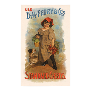 Vintage d.m. Ferry & Co. “Standard Seeds” Advertising Print – Colonial Garden Americana Wall Art