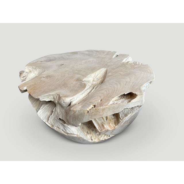 Andrianna Shamaris Organic Drum Shape Teak Wood Coffee Table For Sale - Image 9 of 18