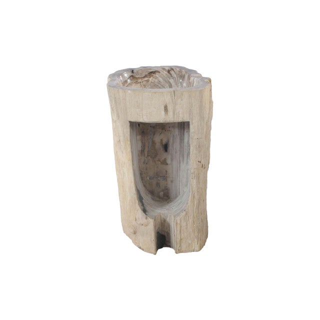 This exceptional freestanding petrified wood wash basin is a unique natural object formed over millions of years and...