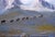 Preparing To Go by Toni Frissell Holiday makers at a Wyoming dude ranch enjoy a pack trip across a spectacular landscape,...