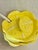 Mid 20th Century Italian Large Yellow Majolica Cabbage Ware Tureen With Lid and Ladle For Sale - Image 4 of 12
