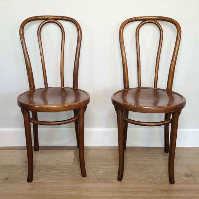 Antique Jacob & Josef Kohn & Mundus Bentwood Chairs a Pair Chairish