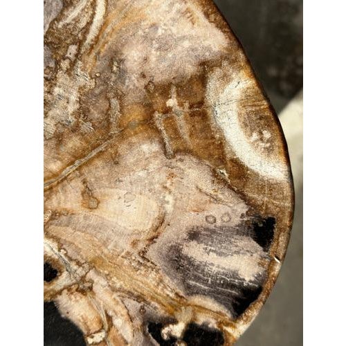 Brown Side Table in Multicolored Petrified Wood For Sale - Image 8 of 18