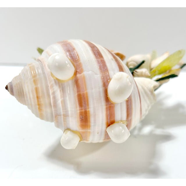 Vintage Shell Sculpture Flower Arrangement in Conch Shell Vase – Mid-Century Coastal Seashell Sculpture For Sale - Image 11 of 11