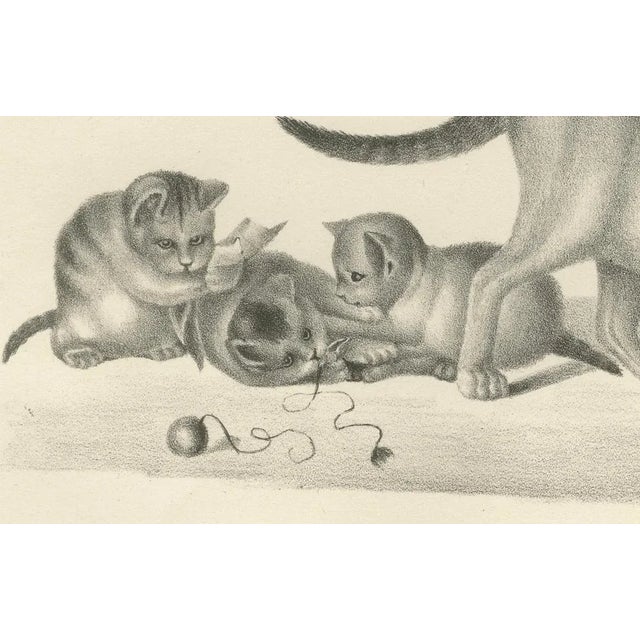 Domestic Cats, 1836, Lithograph For Sale - Image 3 of 10