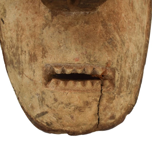 Wood Early 20th Century Fang Mask Ngil Society Gabon For Sale - Image 7 of 8