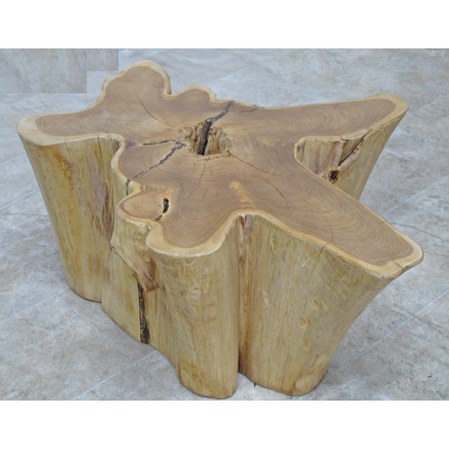 2010s Organic Modern Nature Wood Color Coffee Table For Sale - Image 5 of 7