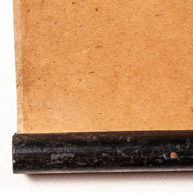 German Snake and Crocodile Educational Chart, 19th Century For Sale - Image 4 of 16