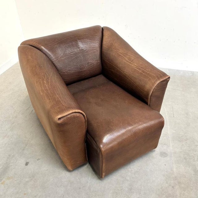 Brown DS47 Lounge Chair from de Sede, Switzerland, 1970s For Sale - Image 8 of 13