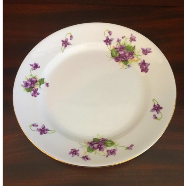 English 1950s Violet Floral Bone China Luncheon Plates - Set of 9 For Sale - Image 3 of 13