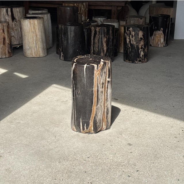 Side Table in Black Petrified Wood with White Sides and Beige Striations, 1980s For Sale - Image 10 of 18