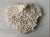 Good condition This genuine white coral piece is a true marvel of nature. Its delicate, intricate branching structure...