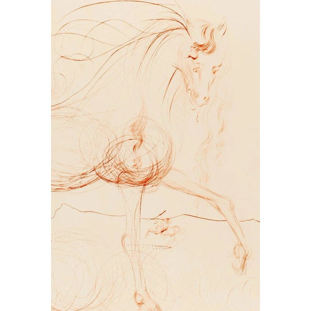 Salvador Dali, L'Etalon Blanc (Hommage au cheval), 1974, Drypoint Etching For Sale - Image 4 of 6