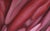 Realism 2000s "Strawberry and Ribbon" Gallery Wrapped Oil Painting by Judith Moore For Sale - Image 3 of 10