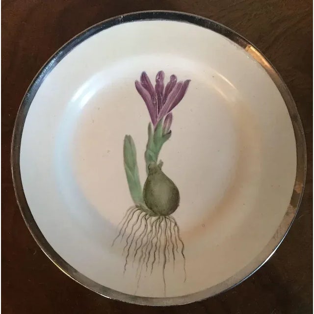 White 1810 English George III Pearlware Botanical Plates with Hand Painted Specimens & Silver Luster Borders - A Pair For Sale - Image 8 of 9