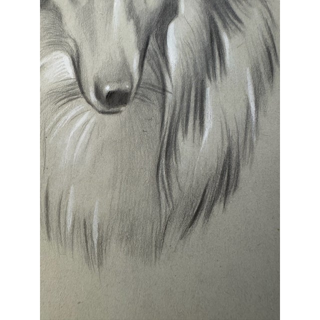 Illustration 1940s Original Signed Graphite Illustration of Collie Dog Portrait, 11.75 × 8.75 In. For Sale - Image 3 of 6