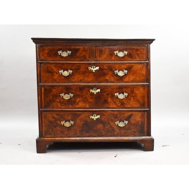 A fine george iii burr walnut chest of elegant proportions, dating from the late 18th century and showcasing beautifully...